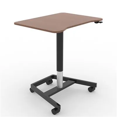 Staande bureau laptop kar